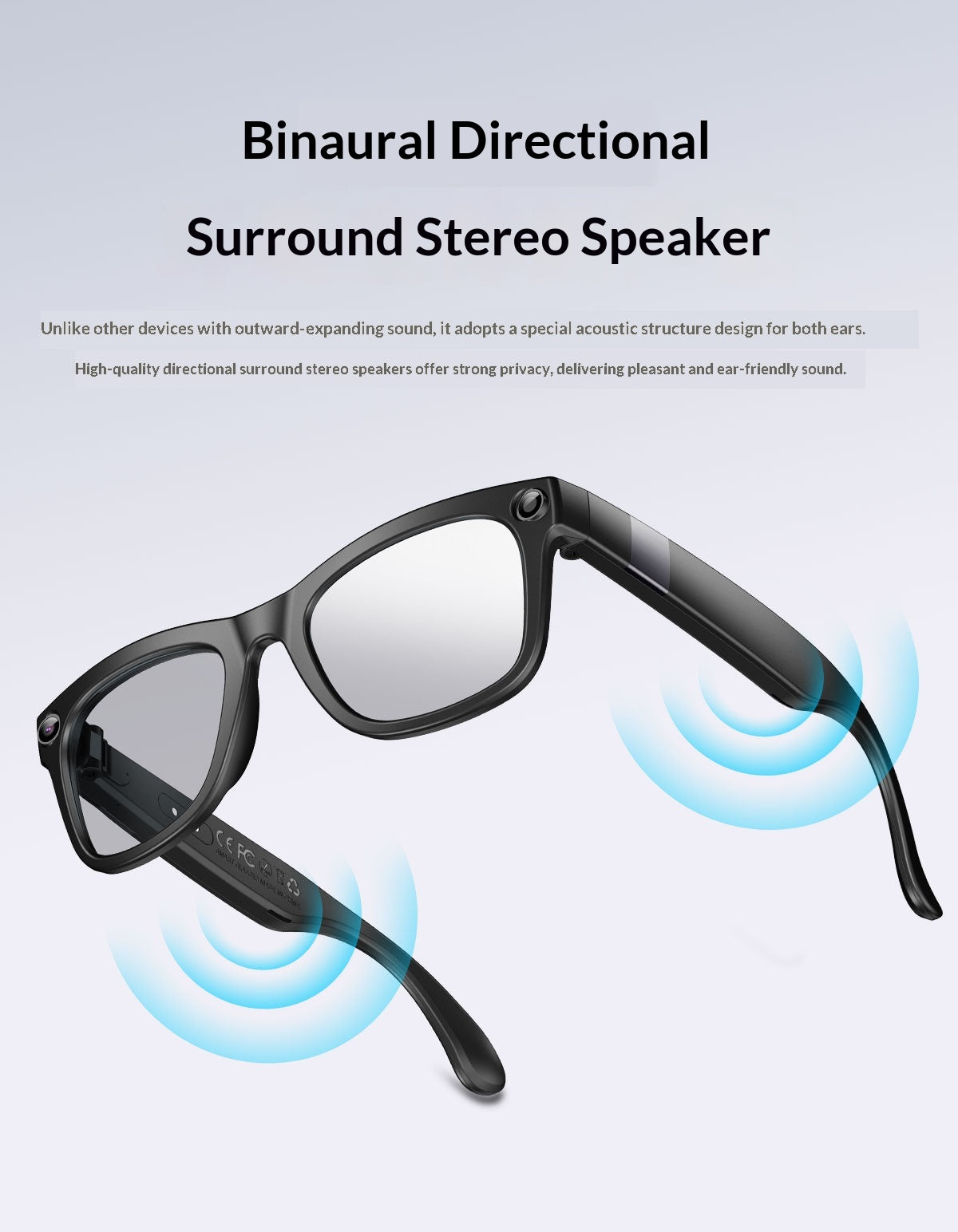 EchoVision AI Smart Glasses